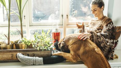 Kvinne i ullgenser sitter i vinduskarmen med en hund, omgitt av planter og dagslys.
