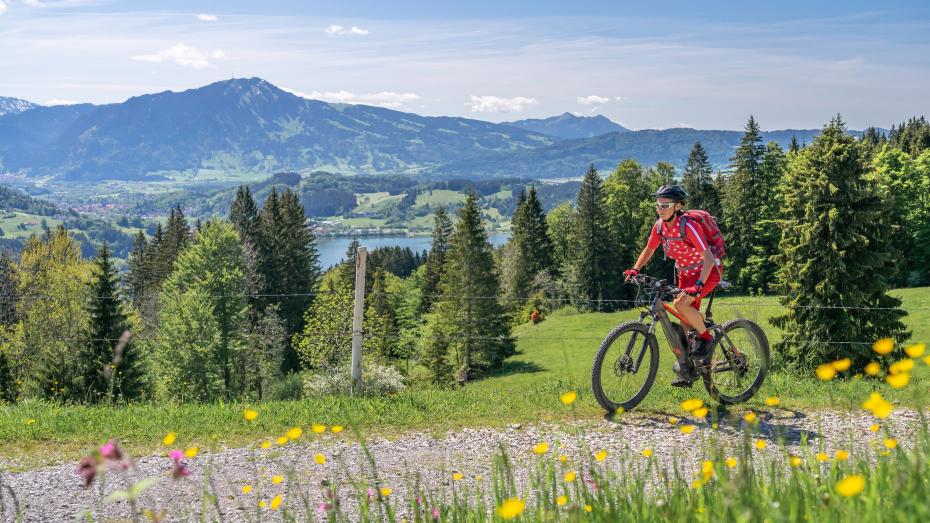 Sykler på vei i natur.jpg