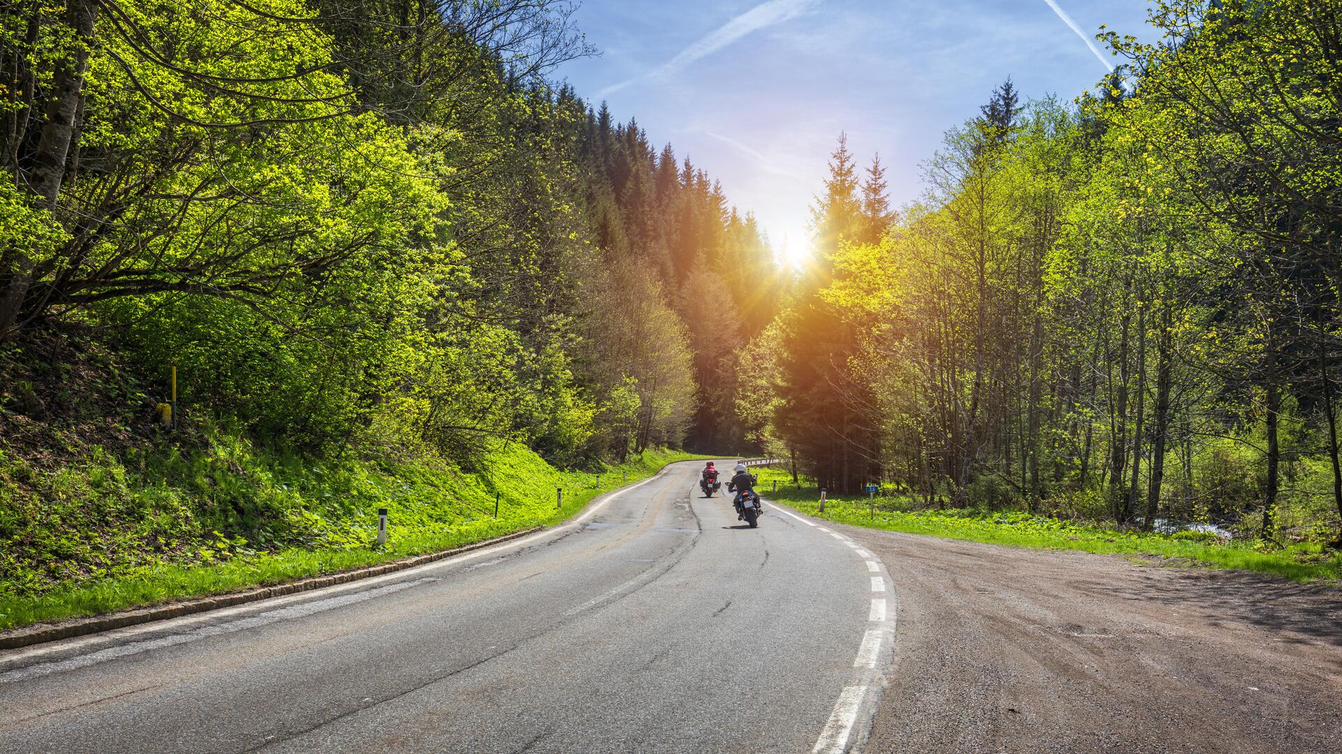 To motorsyklister på landevei gjennom grønn skog i solnedgang.