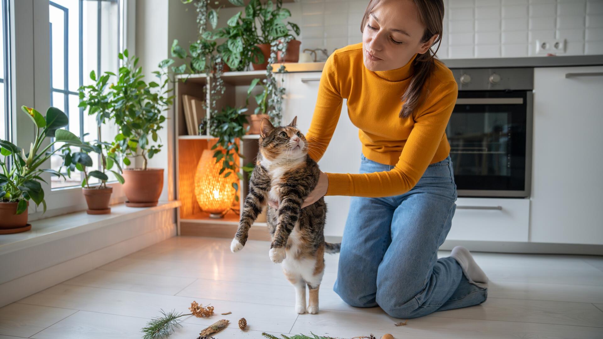 Dame leker med katt