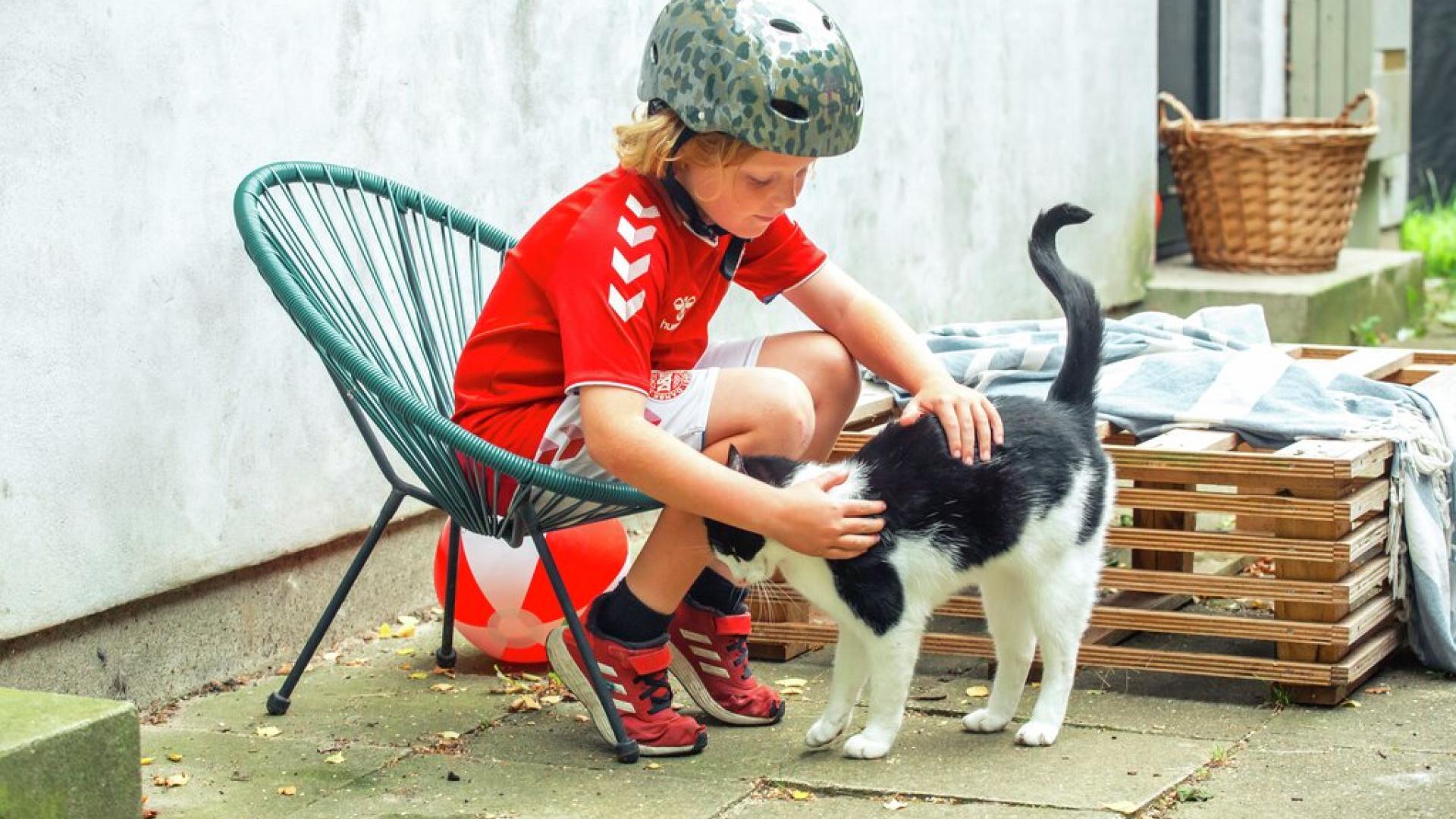 Gutt som klapper katt