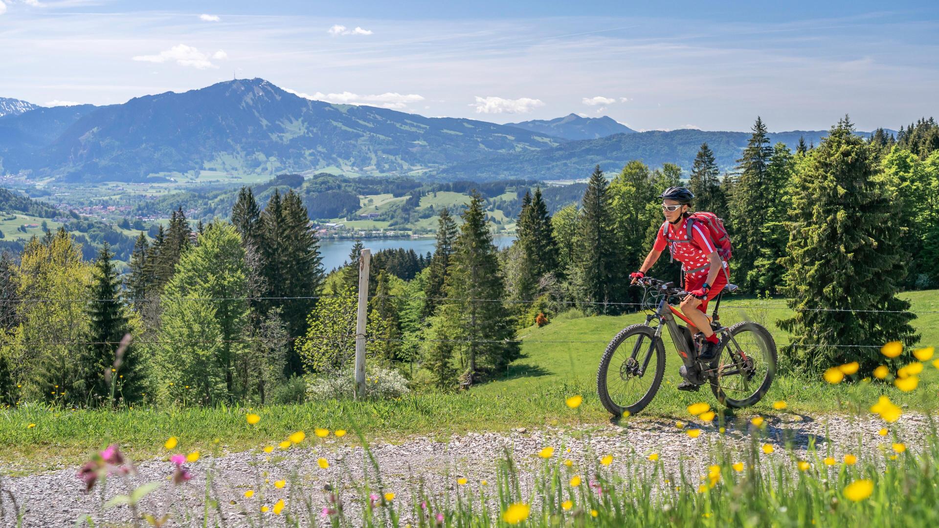 Sykler på vei i natur.jpg