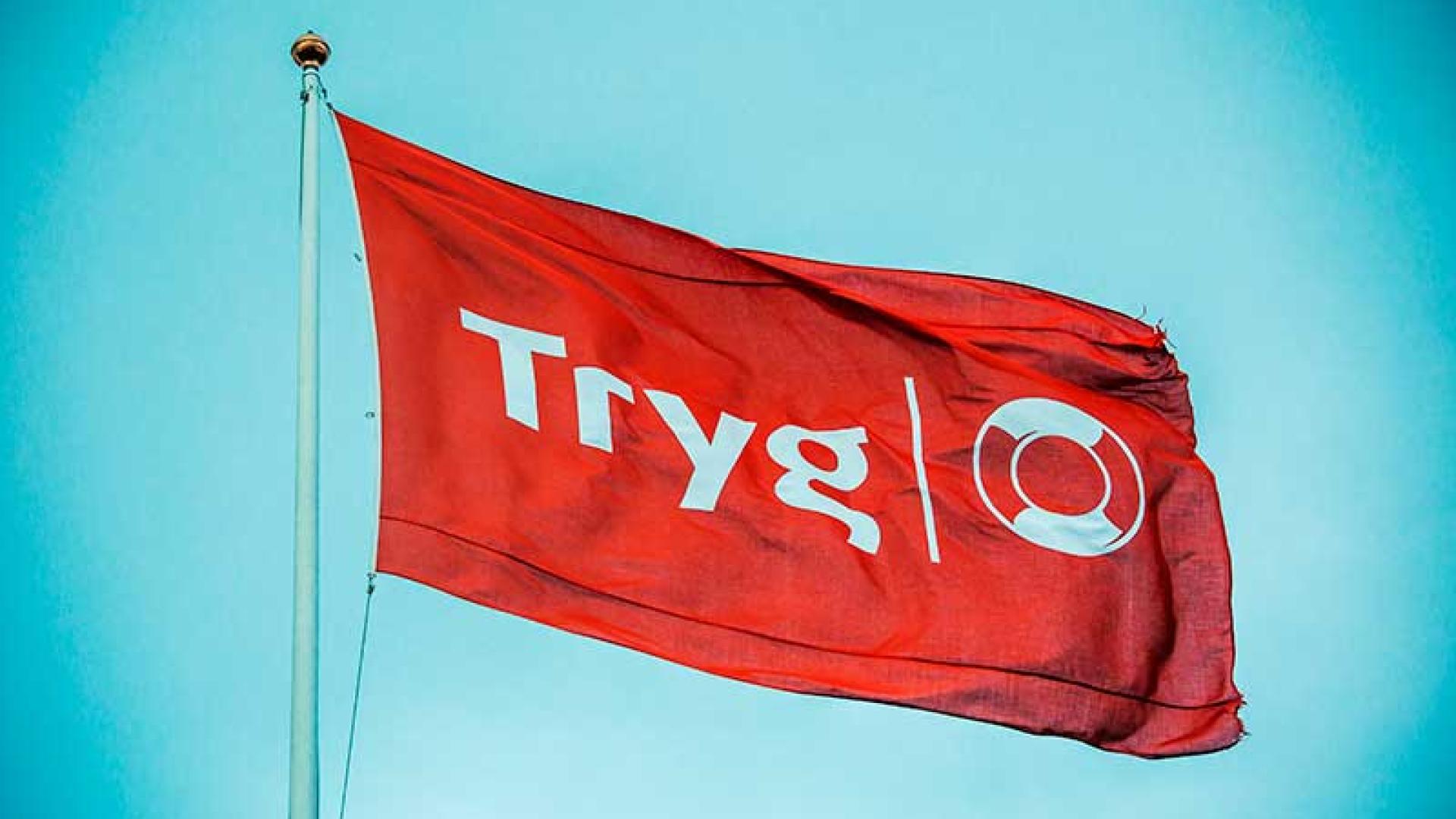 tryg flagg i vinden.jpg