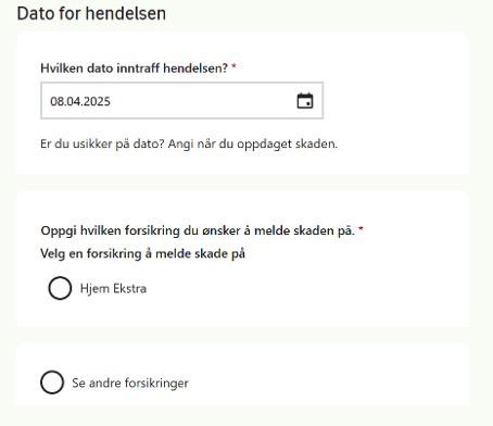 Skjermbilde fra skademeldingsskjema