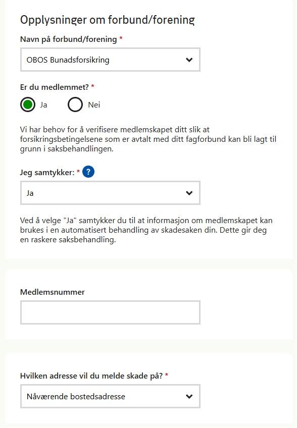 Skjermbilde fra skademeldingsskjema